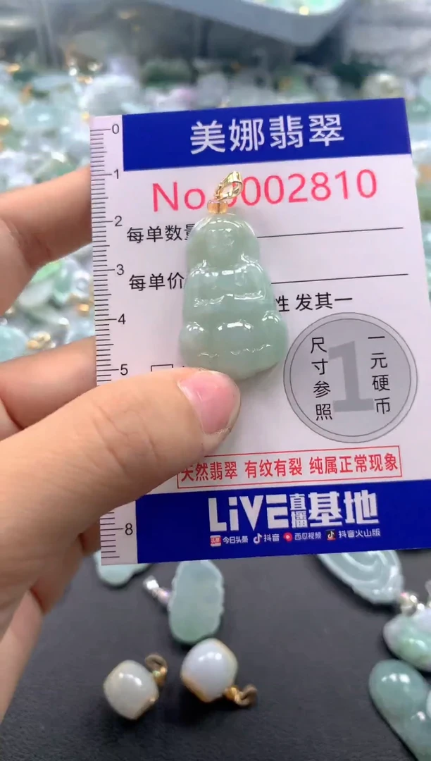 颈饰未镶嵌翡翠2810