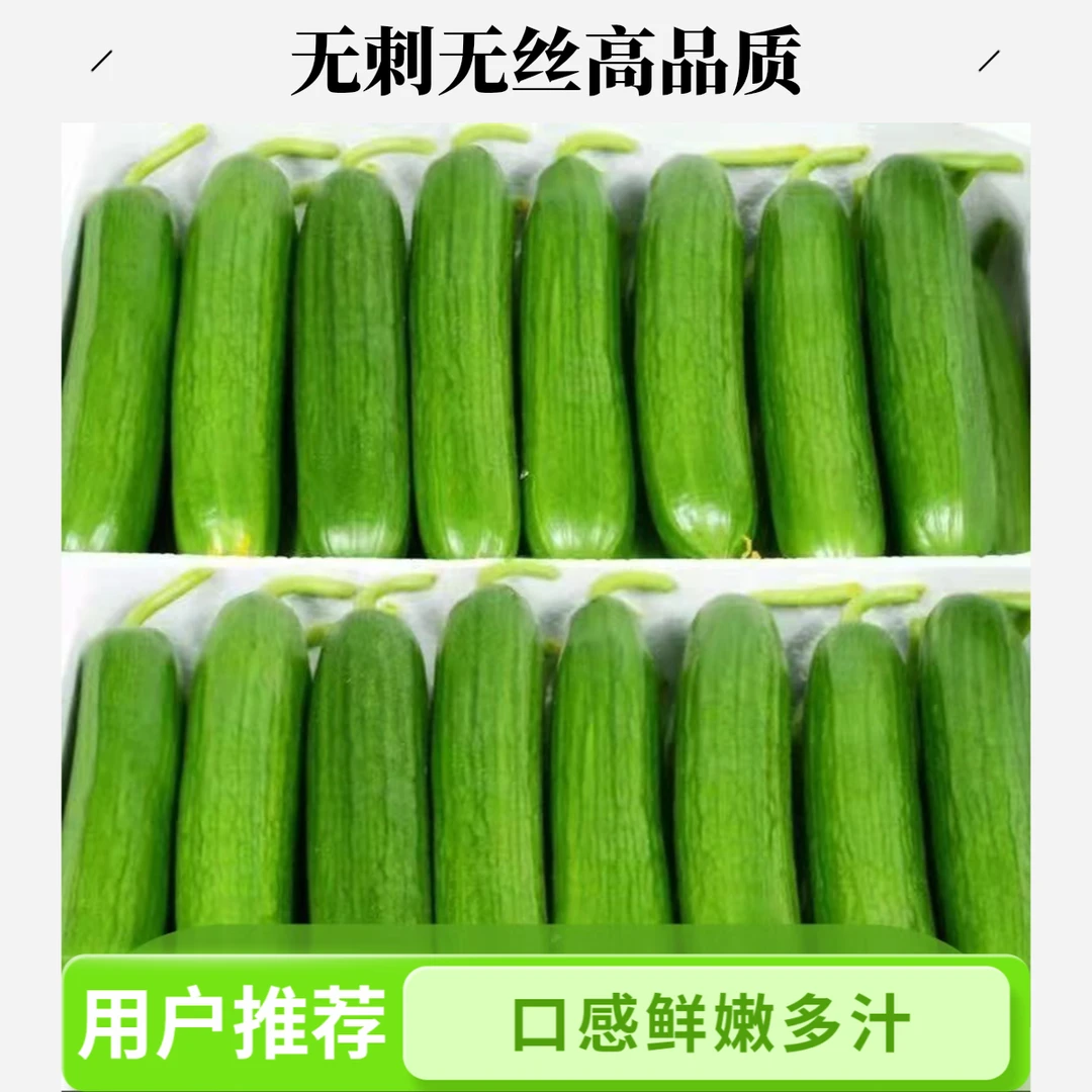 一整箱爆汁脆嫩水果黄瓜现摘无刺无农残生吃孕妈妈爽口当季水果5