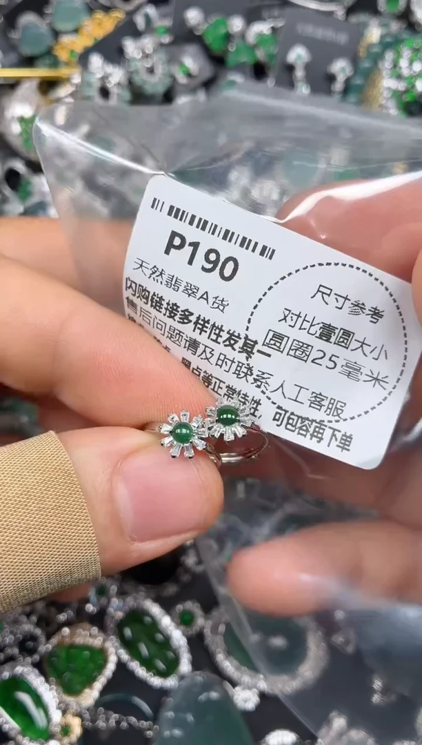 颈饰未镶嵌翡翠P190耳扣