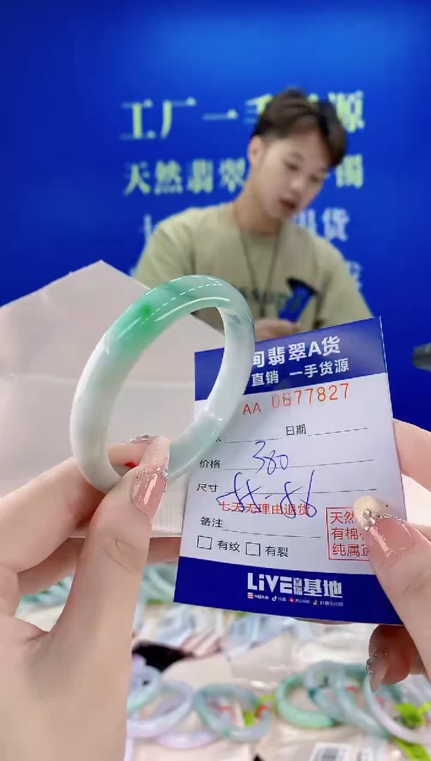 未镶嵌手镯翡翠27