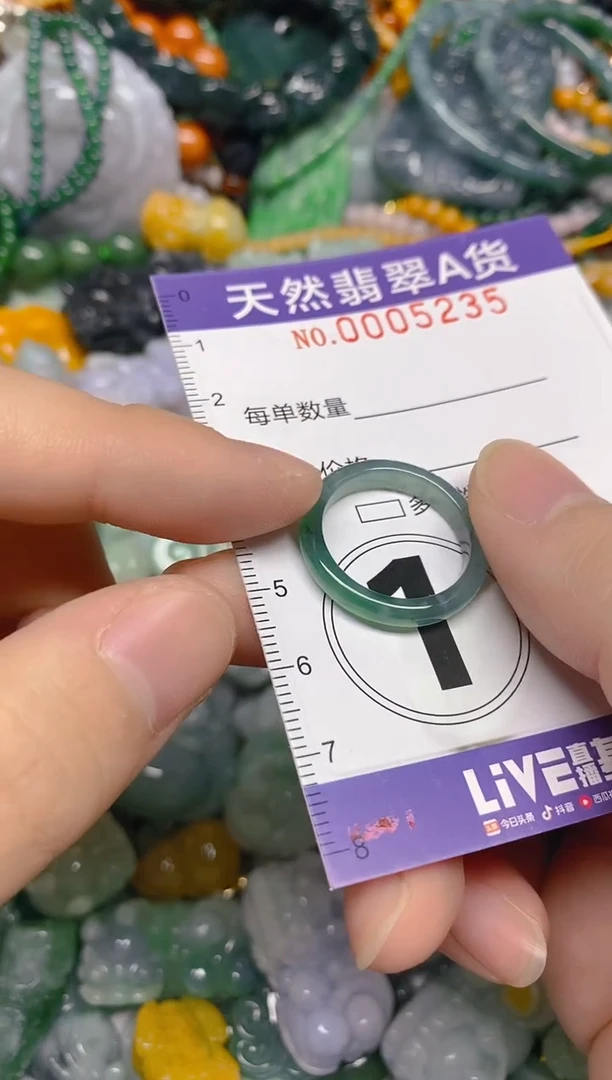 颈饰未镶嵌翡翠0005235