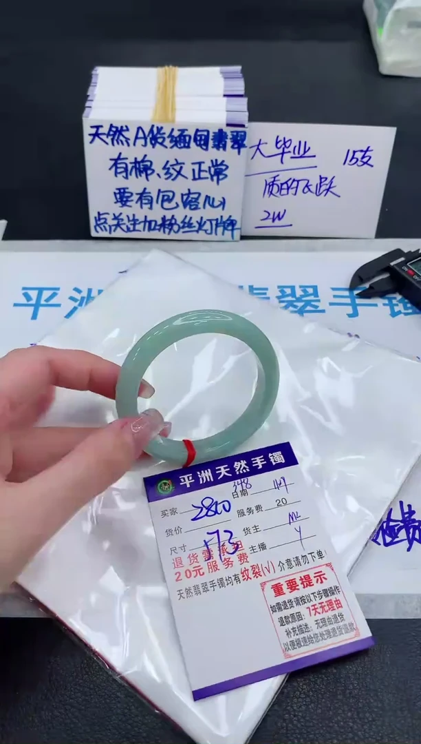 未镶嵌手镯翡翠11111