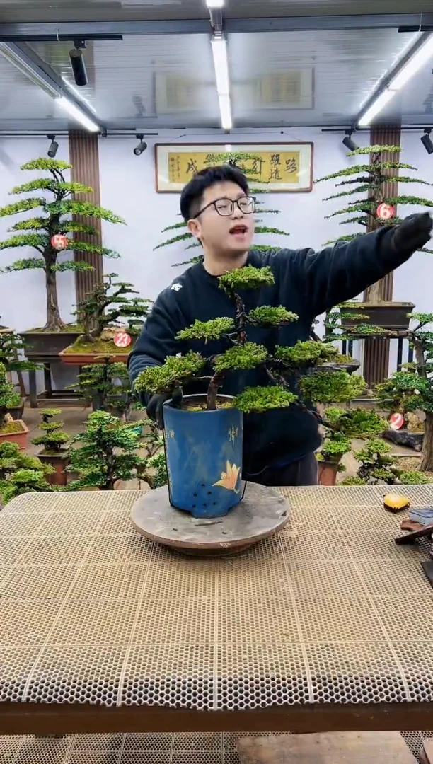 【闪购商品】一物一拍，所见即所得