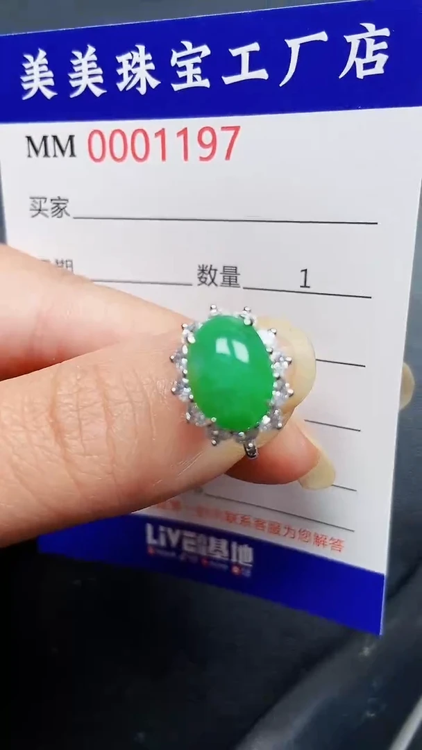 翡翠银S925镶嵌颈饰1197