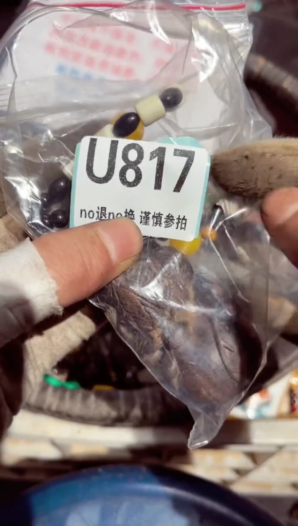 【闪购商品】瓷片瓷片瓷片瓷片瓷片