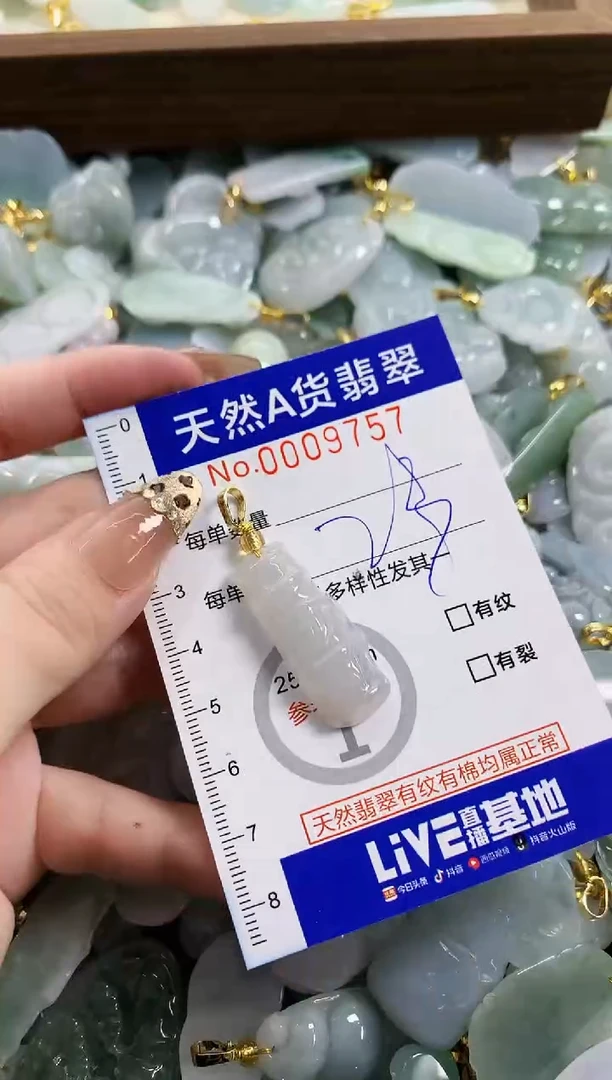 颈饰未镶嵌翡翠天然A货翡翠