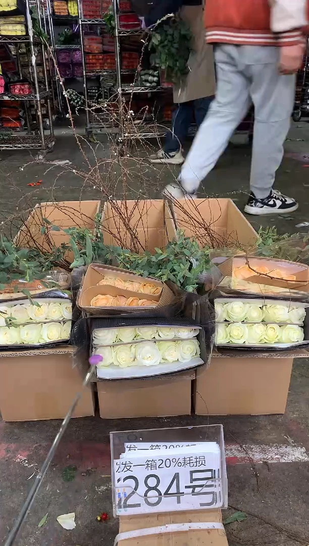 284号♥中通含20%耗损发一箱鲜花