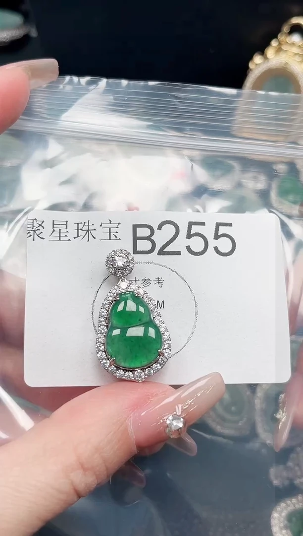 【闪购商品】翡翠颈饰未镶嵌赠皮绳255