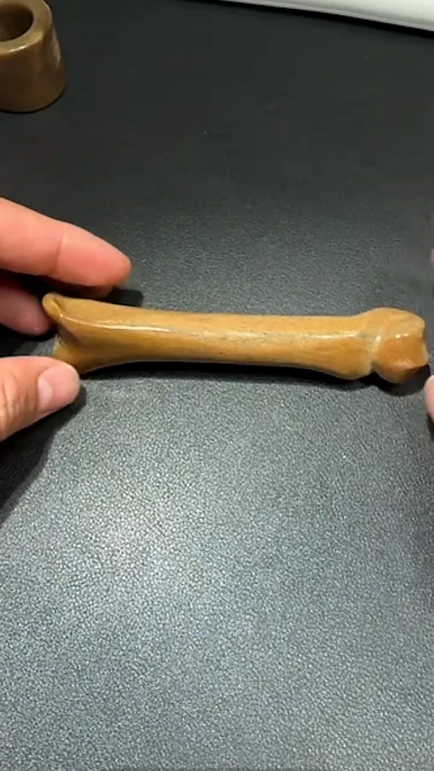 非金属珐琅主播推荐