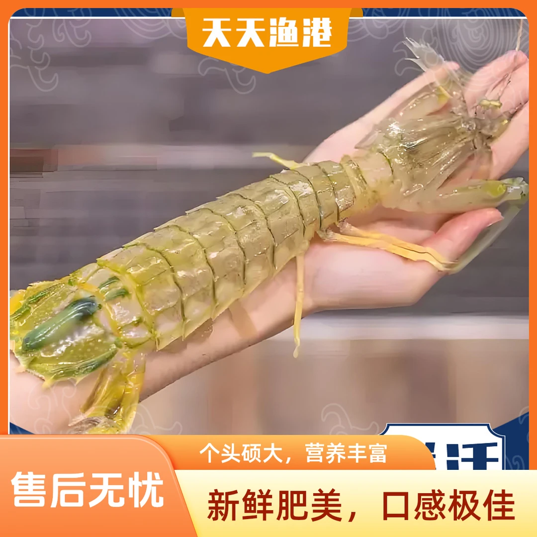 富贵虾98/只（三两左右）【好东西】【好东西】