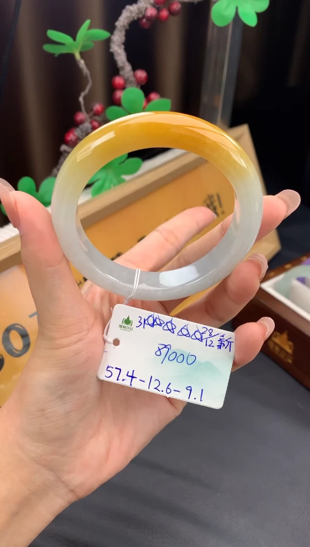 未镶嵌手镯翡翠翡翠自带#送人#，假一赔三