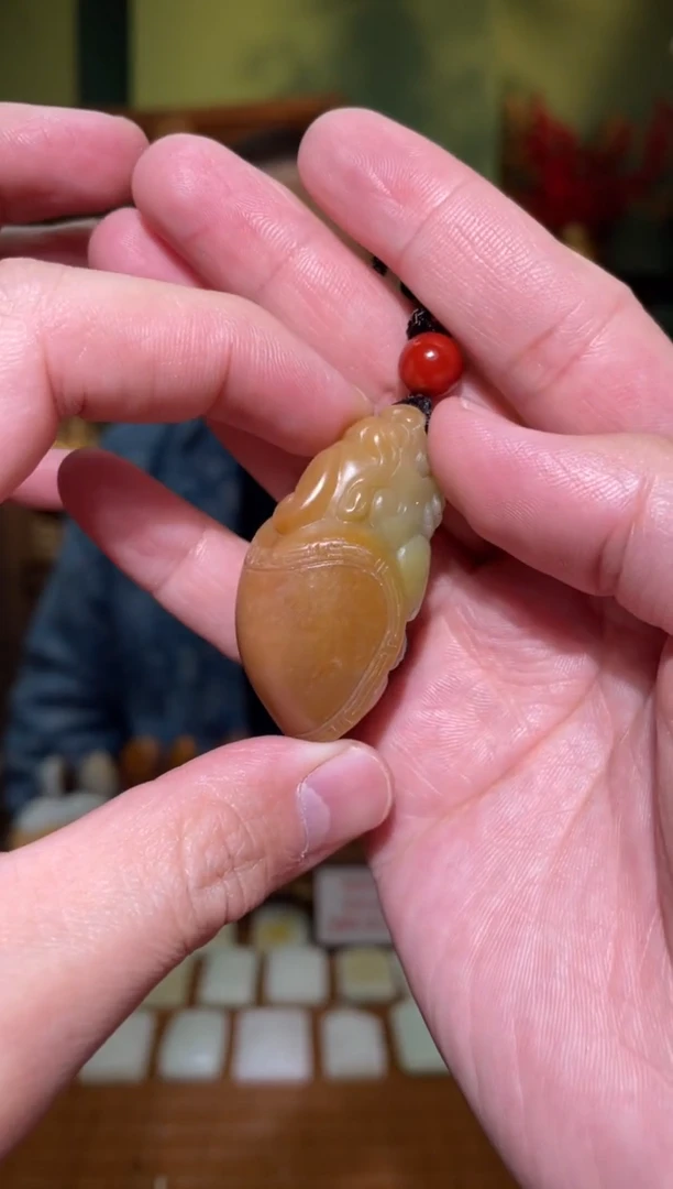 【闪购商品】和田玉吊坠(不含链)未镶嵌龙龟38g