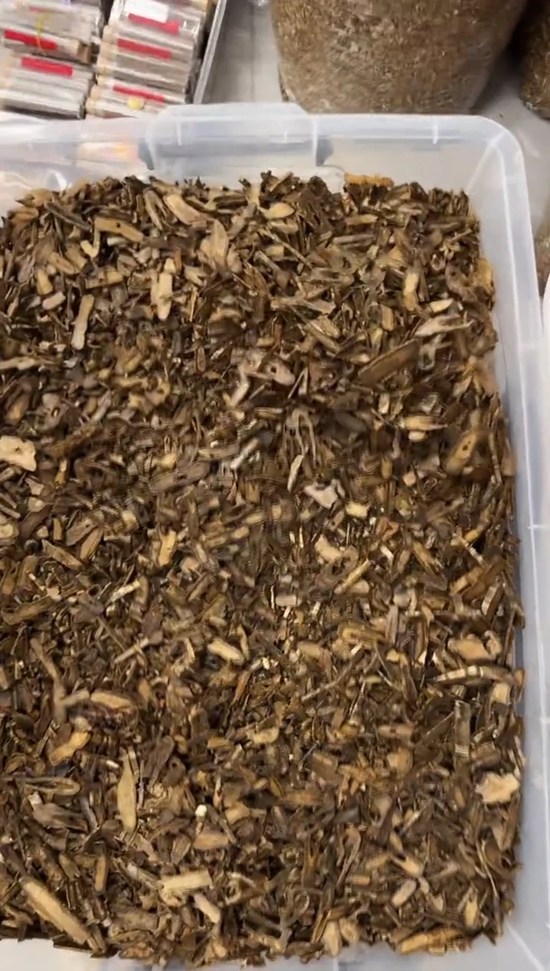 沉香碎屑沉香海南老料原材料100克多样性发货一份