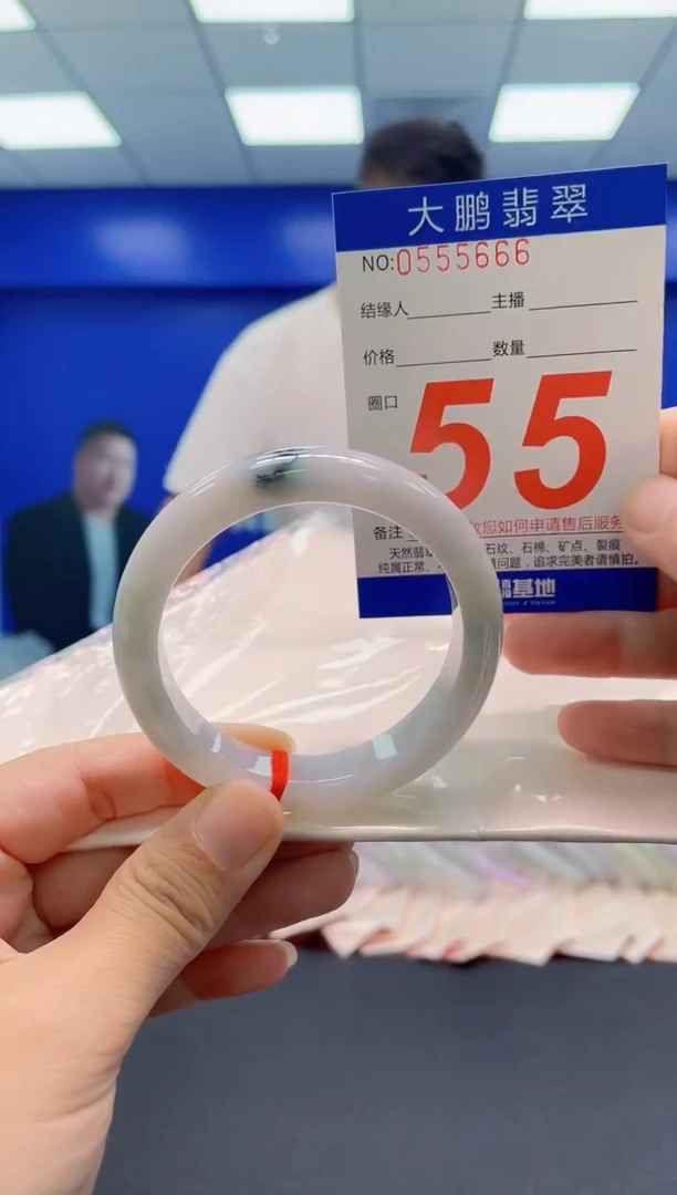 未镶嵌手镯翡翠AAAAAAAAA