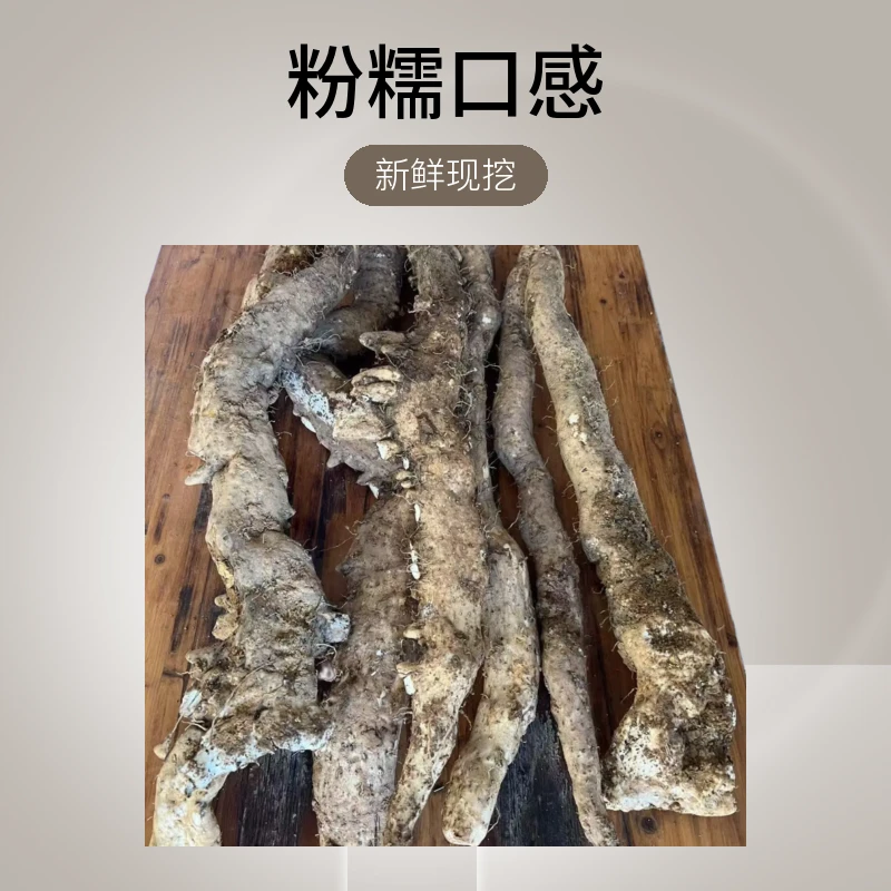 云南高山野生山药深山老林特产新鲜现挖粉糯口感农产品正宗