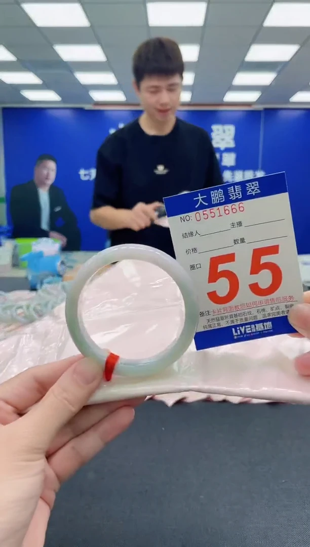 未镶嵌手镯翡翠AAAAAAAAA