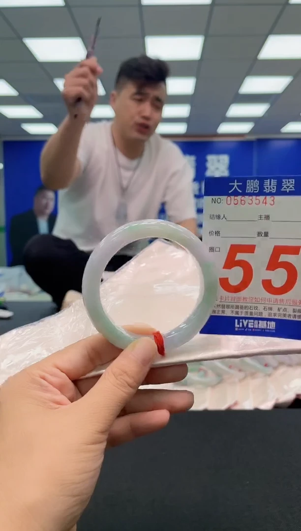 未镶嵌手镯翡翠AAAAAAAAA