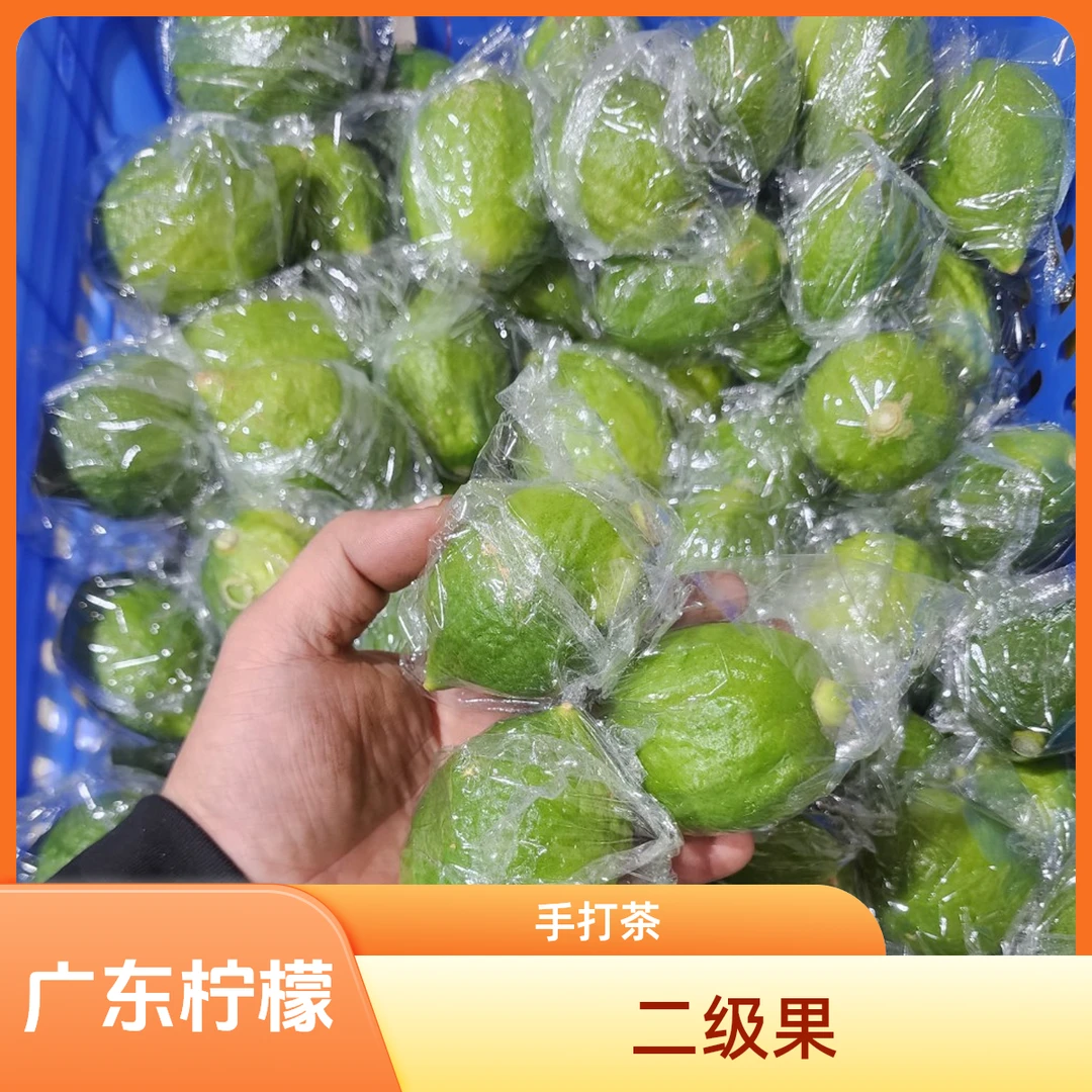 广东无籽香水柠檬鲜果二级果奶茶店咖啡店专用手打柠檬茶江门产地