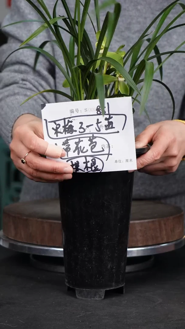 【闪购商品】紫砂花盆851紫砂花盆