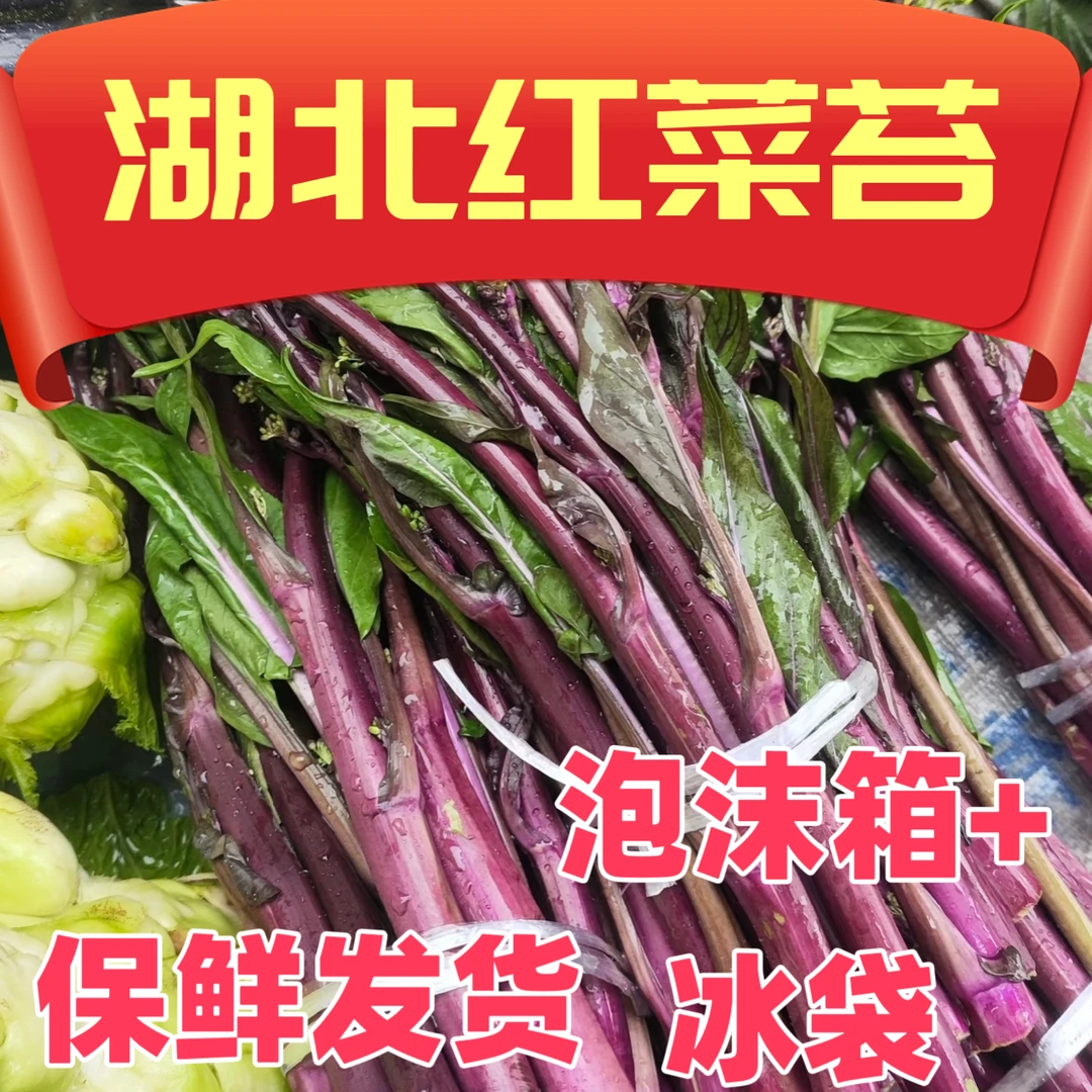 湖北红菜苔新鲜脆嫩当季现摘露天蔬菜农家菜心