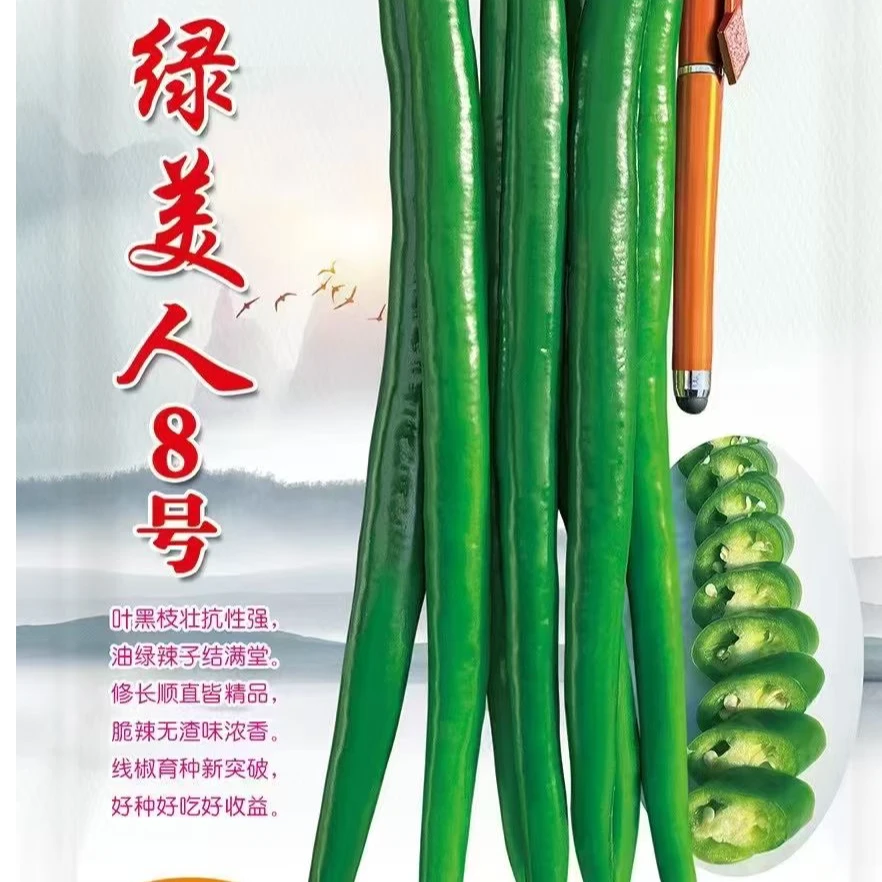 豫艺绿美人八号线椒种子 深绿皮商品性好果型顺直漂亮 500粒/装