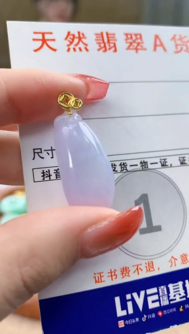 颈饰未镶嵌翡翠 天然A货翡翠挂件