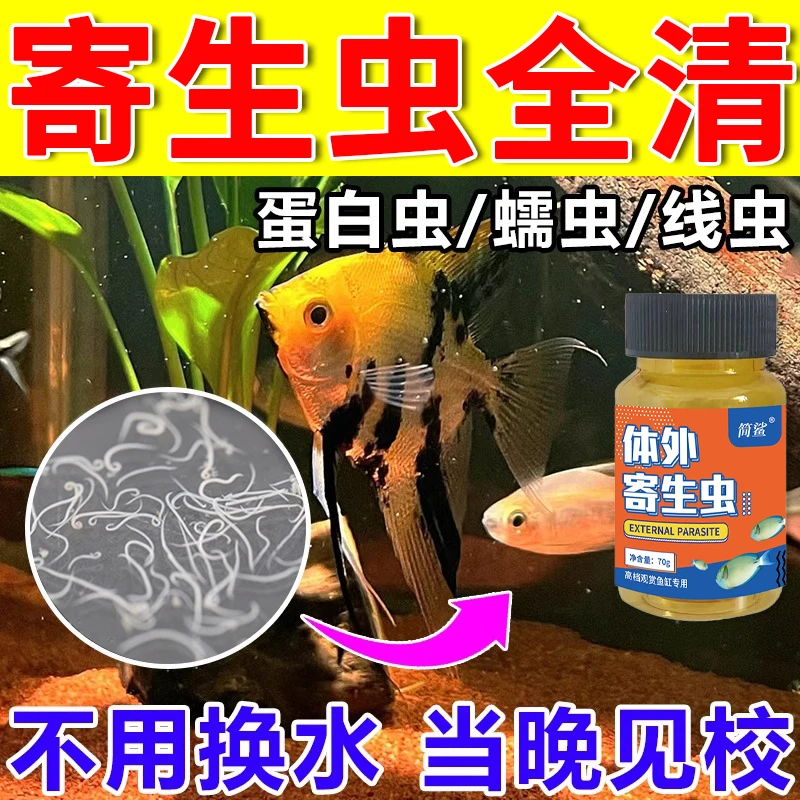 观赏鱼除寄生虫蛋白虫鱼虱鱼虫清蹭缸锦鲤金鱼缸除虫专用寄生虫粉