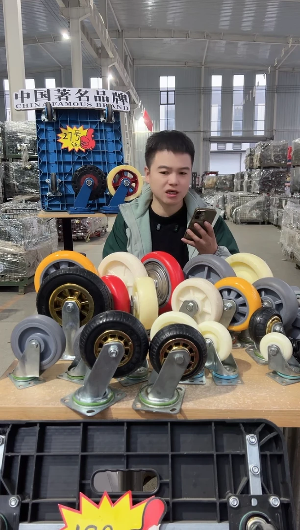 杨姐专属  6寸黑色金胶  2个定向  2个刹车