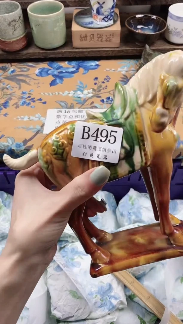 瓷片之*                B495
