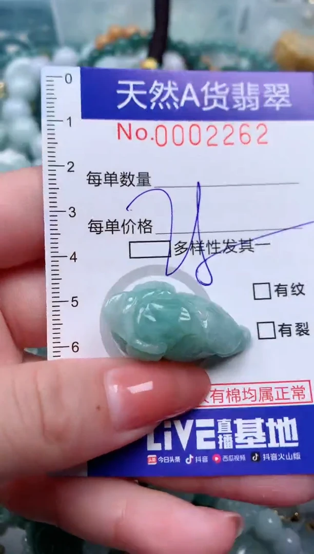 【闪购商品】翡翠颈饰未镶嵌00002262