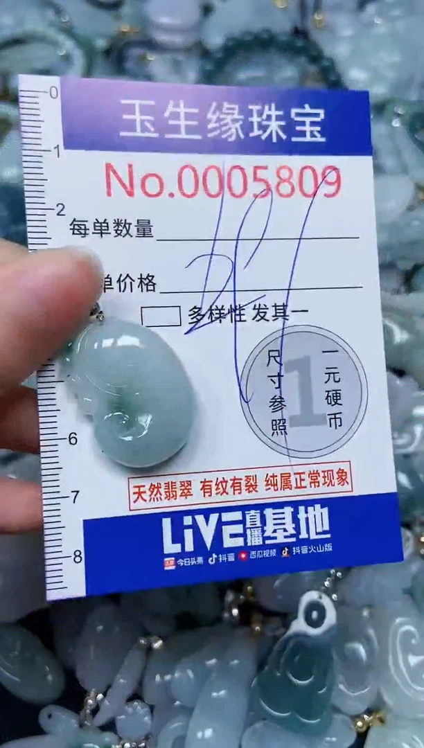 【闪购商品】翡翠颈饰未镶嵌闪购00005809