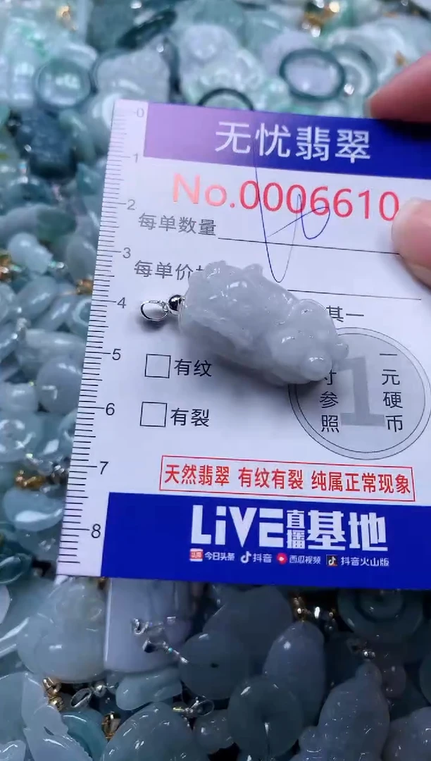 颈饰未镶嵌翡翠6610