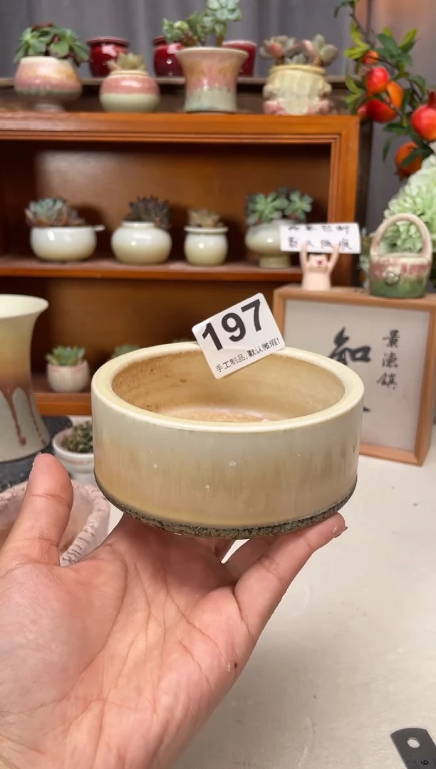 瓷片197知木小芳花盆编号