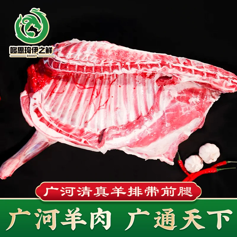 广河清真羊排带前夹新鲜草膘羊羊肉