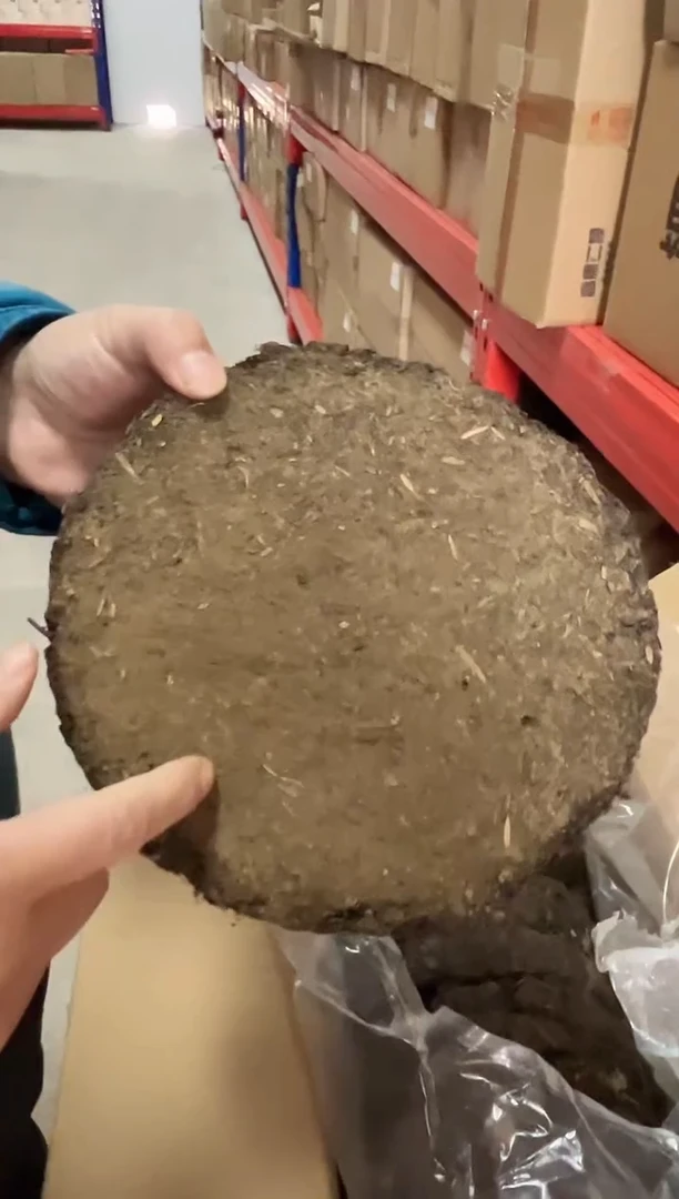 高马二溪2011年千两饼600克