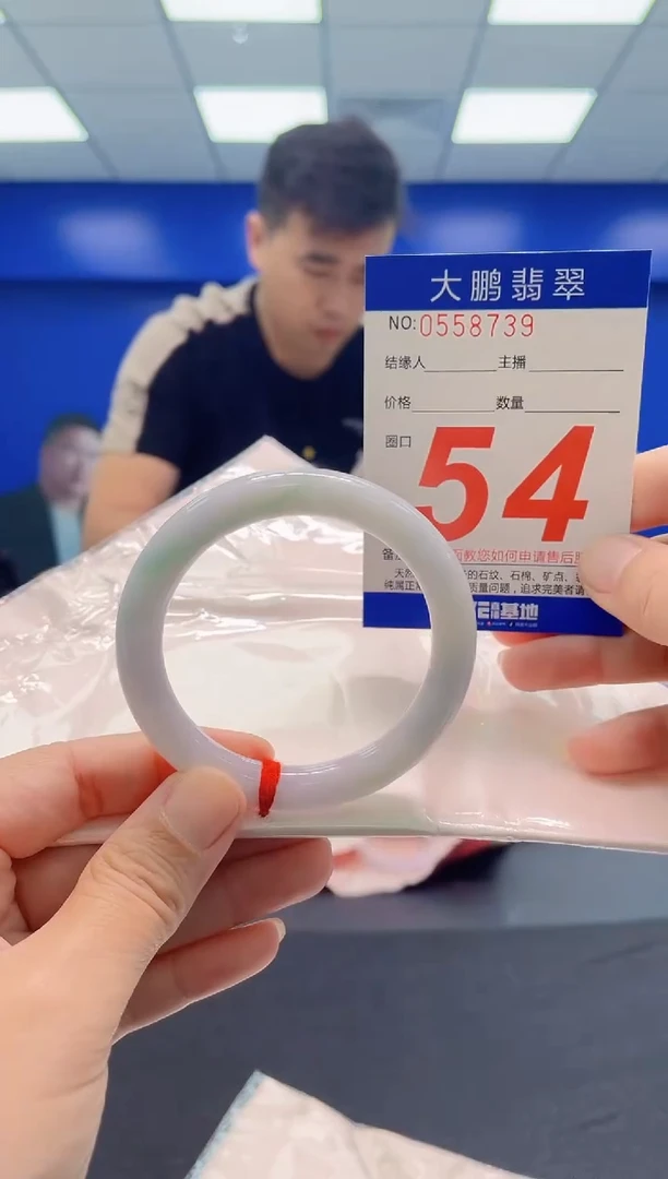未镶嵌手镯翡翠AAAAAAAAA