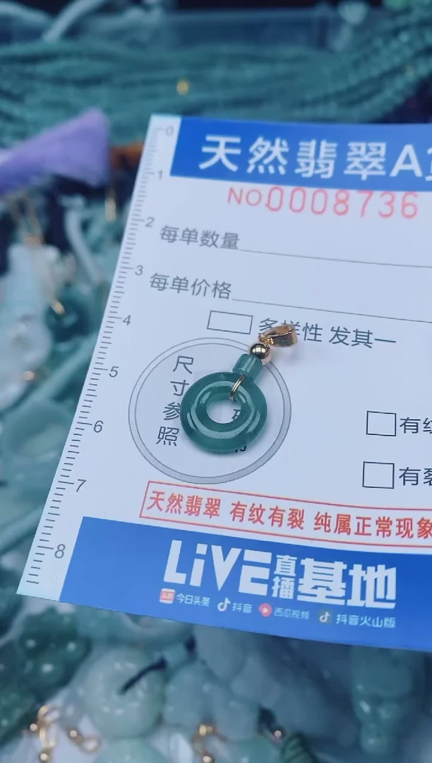 颈饰未镶嵌翡翠00008736