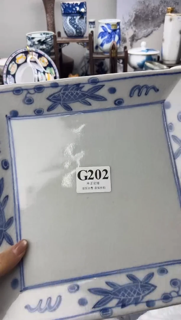 瓷片（****）    G202