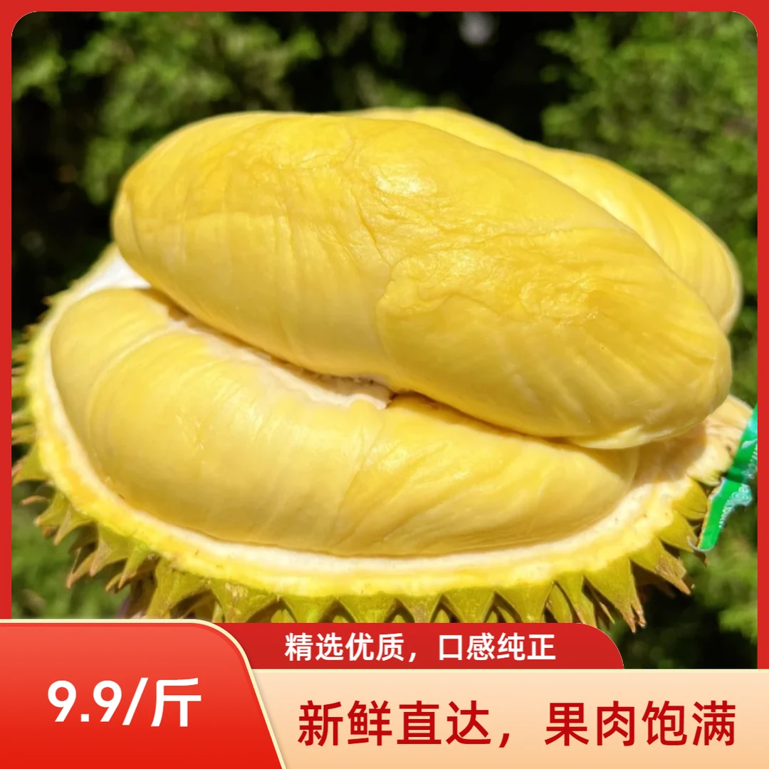 整果【双A金枕干包品质】【湖州长兴同城】泰国树熟金枕核小肉厚新鲜榴莲一果一重金枕泰国