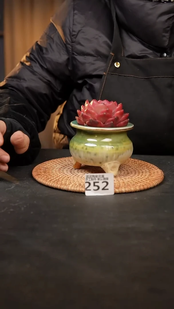 【闪购商品】瓷片252泥泥手工花盆口7-8高7-8