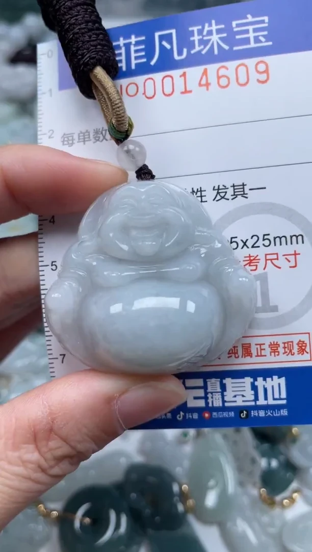 颈饰未镶嵌翡翠14609