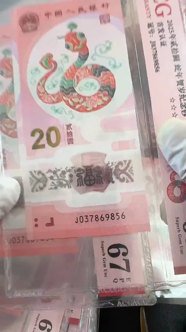 【闪购商品】塑料首日标67分 037869856