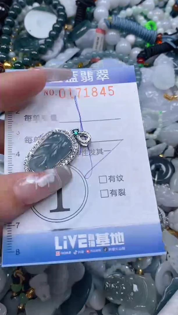 【闪购商品】翡翠颈饰未镶嵌闪购0171845