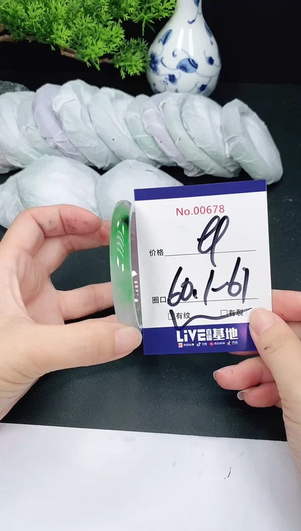 未镶嵌手镯翡翠678