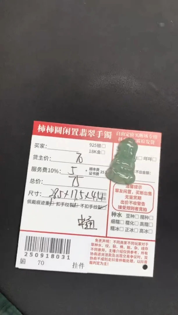 颈饰未镶嵌翡翠姐姐250918031