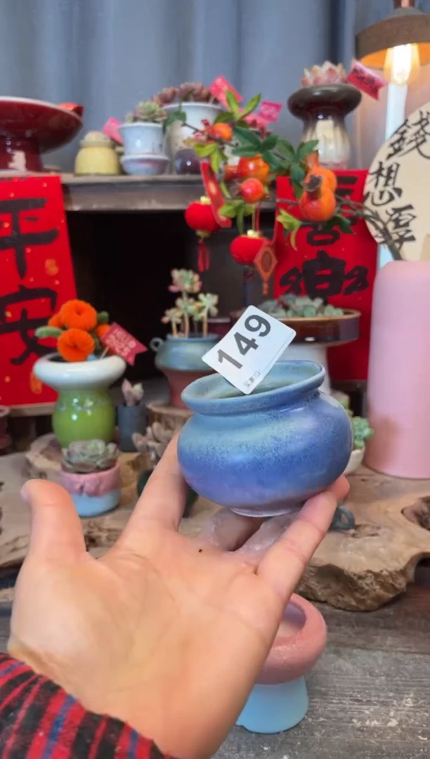 【闪购商品】摆件149知木小芳花盆