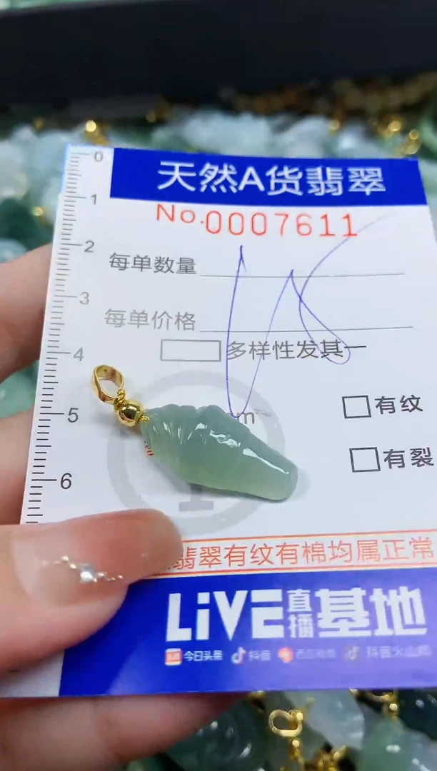 颈饰未镶嵌翡翠天然A货翡翠