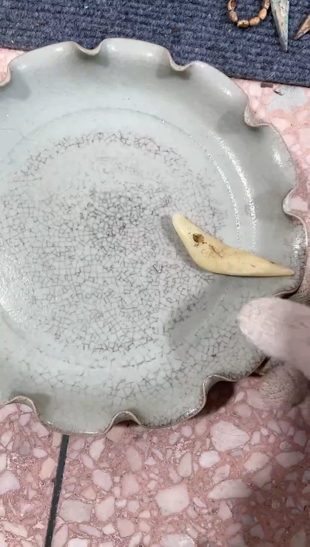 【闪购商品】瓷片瓷瓷瓷瓷瓷瓷瓷瓷瓷瓷瓷瓷瓷