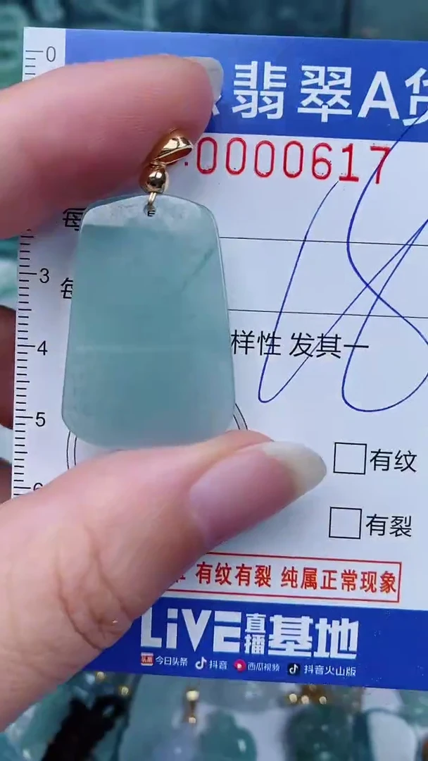 翡翠未镶嵌颈饰00000617