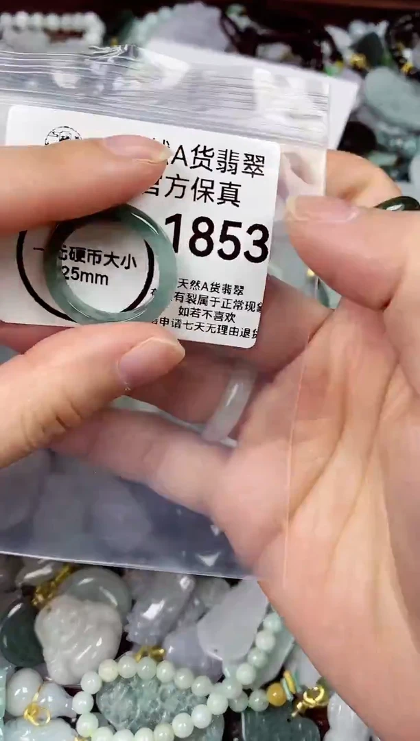【闪购商品】翡翠颈饰未镶嵌天然A货翡翠1853